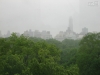 080516_nyc_tag5_mk025