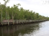 20101012_cape_coral4_mk229