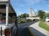 20101014_cape_coral6_busch_gardens_mk011