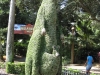 20101014_cape_coral6_busch_gardens_mk027