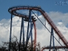 20101014_cape_coral6_busch_gardens_mk060