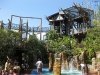 20101014_cape_coral6_busch_gardens_mk110