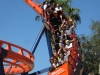 20101014_cape_coral6_busch_gardens_mk138