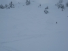 20110110_catskiing_mk29