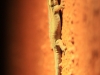 20121028_tag11_mru_mk079