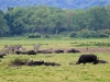 20130924-26_flug_arusha_np_mk053