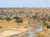 20130927_tarangire_np_mk082