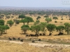 20130927_tarangire_np_mk148