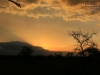 20130929_serengeti_mk497