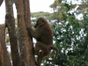 20131001_ngorongoro_krater_mk014