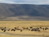 20131001_ngorongoro_krater_mk095