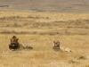 20131001_ngorongoro_krater_mk253