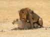 20131001_ngorongoro_krater_mk309