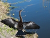 20140421_everglades_mk057