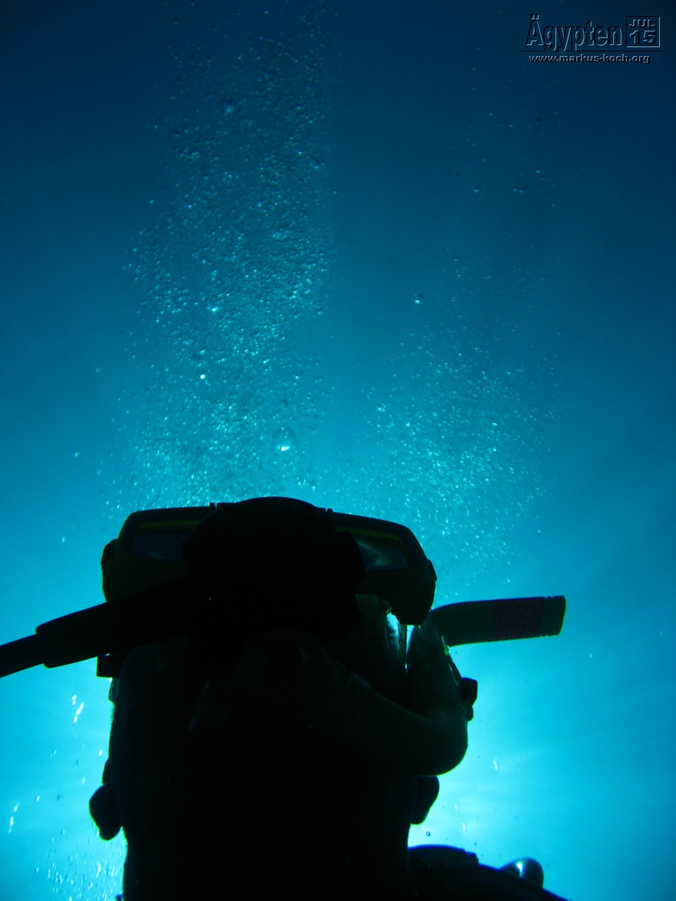 20150716-23_el_gouna_tauchen_egypt_mm022