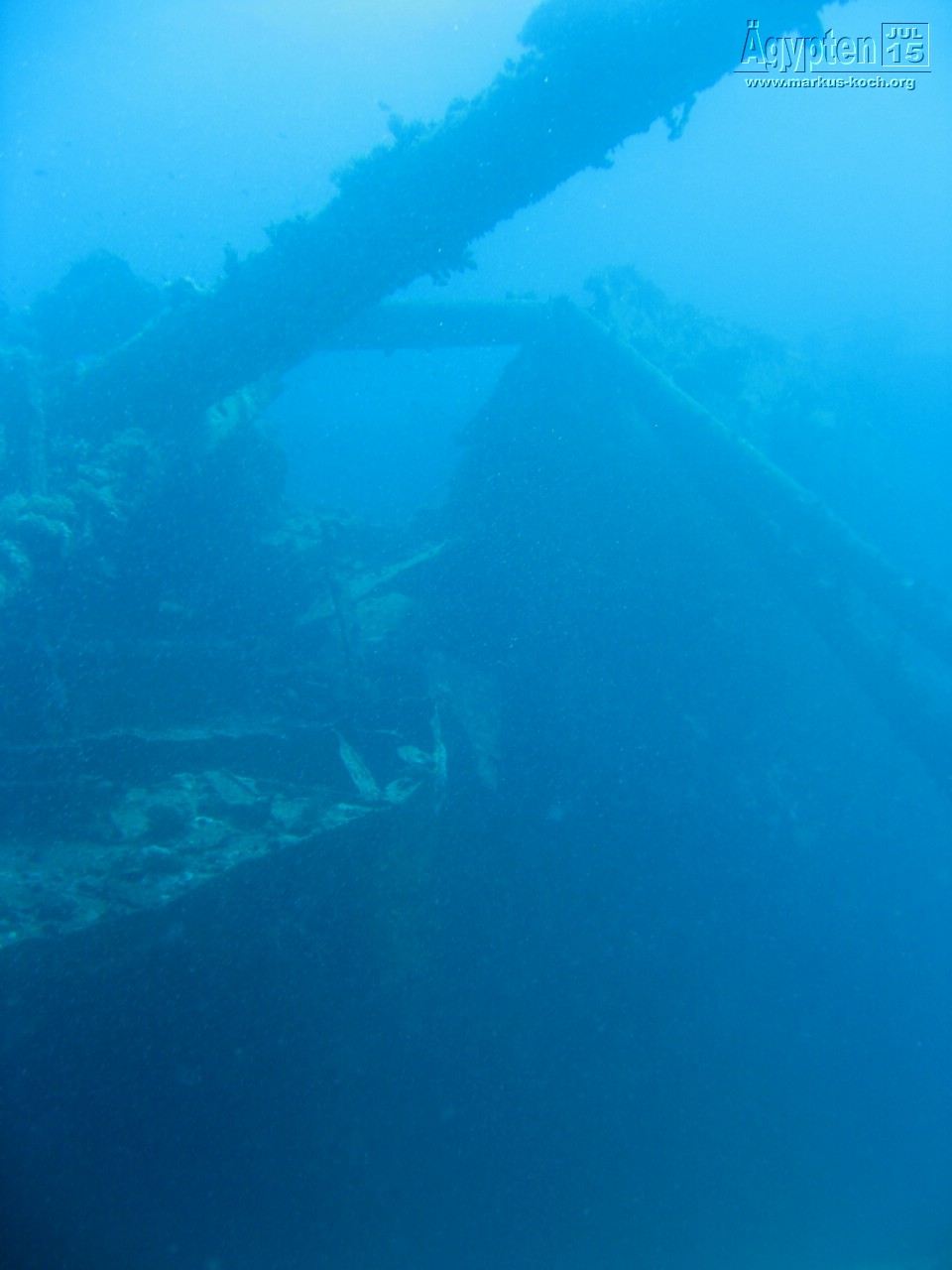 20150716-23_el_gouna_tauchen_egypt_mm056