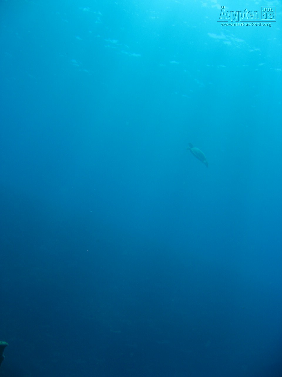 20150716-23_el_gouna_tauchen_egypt_mm111