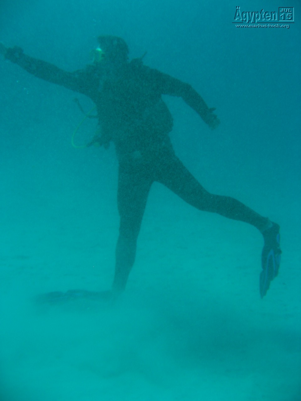 20150716-23_el_gouna_tauchen_egypt_mm233