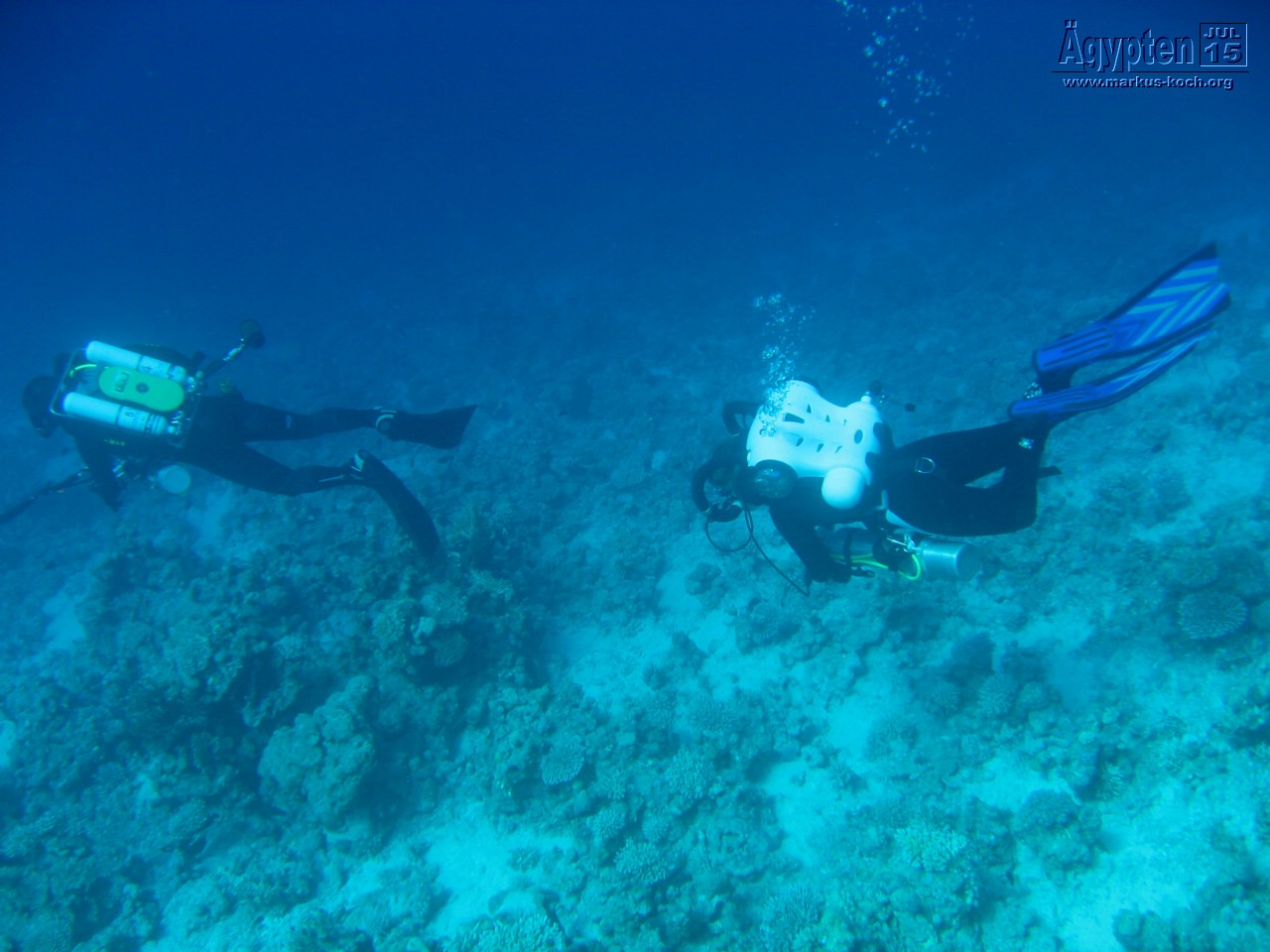 20150716-23_el_gouna_tauchen_egypt_mm376