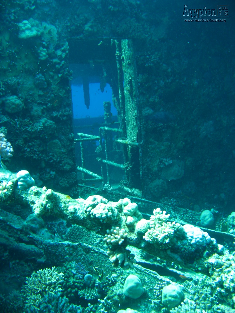 20150716-23_el_gouna_tauchen_egypt_mm559