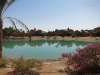 20150716-23_el_gouna_tauchen_egypt_mk014