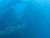 20150716-23_el_gouna_tauchen_egypt_mm056