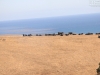 20150916_pismobeach_us1_kirkcreek_mk167