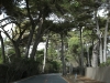 20150917_kirkcreek_us1_bigsur_monterey_watsonville_mk146
