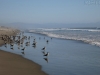 20150917_kirkcreek_us1_bigsur_monterey_watsonville_mk246
