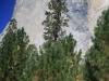 20150925_yosemite_tiogopass_silverlake_mk010