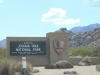 20151013_kingman_joshuatree_mk012