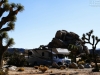 20151013_kingman_joshuatree_mk038