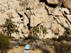 20151013_kingman_joshuatree_mk040