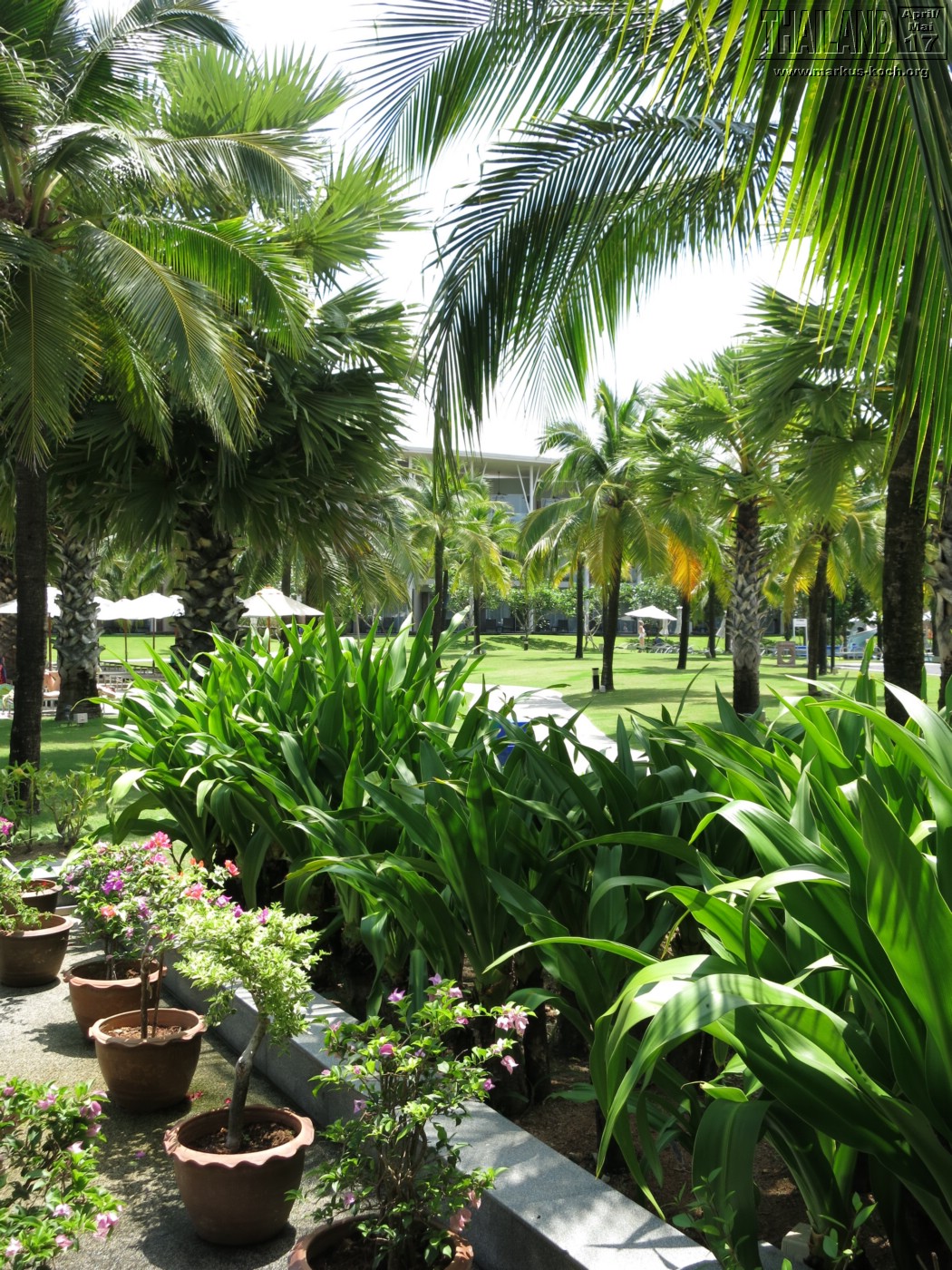 20170430-tag12-hotel_thailand_mk032