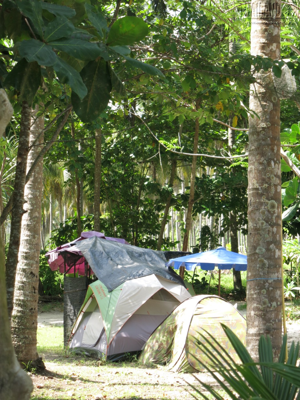 20170501-tag13-coconut-beach_thailand_mk066