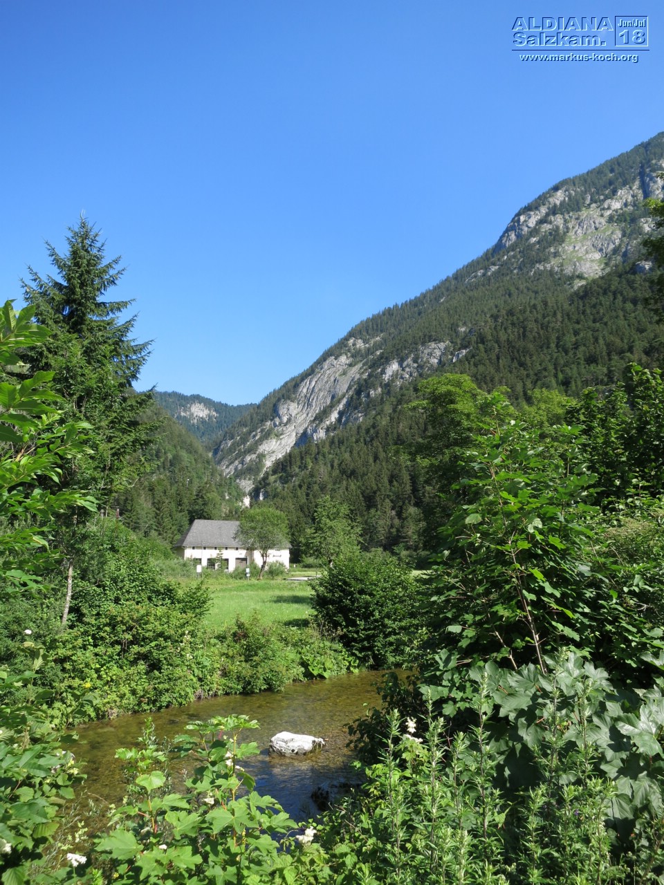 20180629-0702_aldiana_salzkammergut_027_mk265