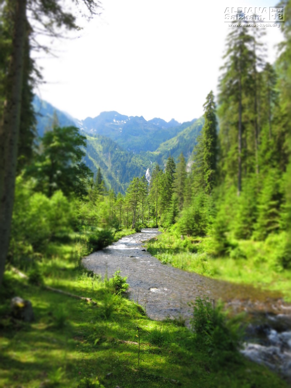 20180629-0702_aldiana_salzkammergut_040_mk297