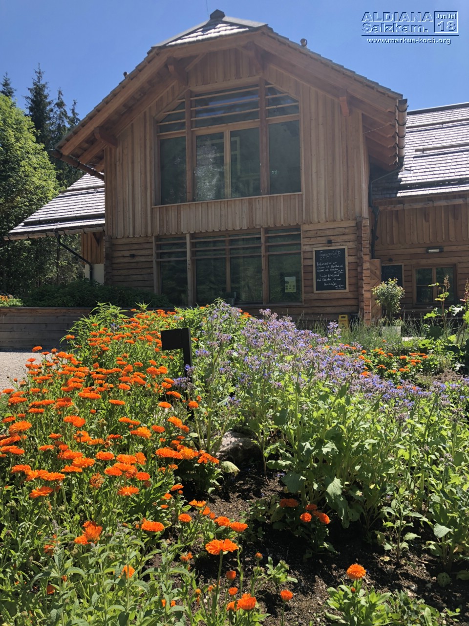 20180629-0702_aldiana_salzkammergut_091_mk222