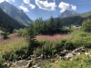 20180729-31_montafon_gaschrun_mk154