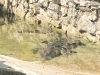 20181110_rivieramaya_mexiko_mk026
