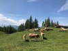 20190629-0705_schladming_aldiana_salzkammergut_mk208