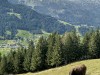 20210924-26_oberjoch_kleinwalsertal_mk100