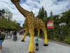 20220709-10_legoland_guenzburg_mk063