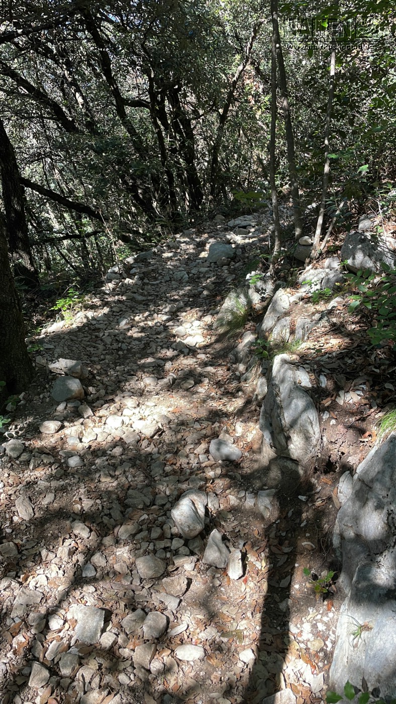 20220819-25_gardasee_idro_bozen_seiseralm_mk200