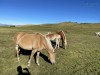 20220819-25_gardasee_idro_bozen_seiseralm_mk494