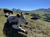 20220819-25_gardasee_idro_bozen_seiseralm_mk531