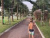 20220902-11_magiclife_jacaranda_tuerkei_mk536