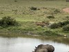 20221103-21_suedafrika_kapstadt_gardenroute_mk0914