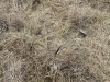 20221103-21_suedafrika_kapstadt_gardenroute_mk1000