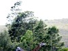 20221103-21_suedafrika_kapstadt_gardenroute_mk1026